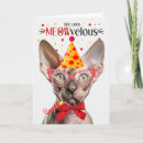 Search for sphynx cat cards Cats