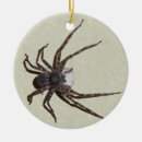 Search for arachnids christmas tree decorations Bug