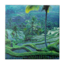 Search for bali tiles Travel