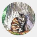 Search for watercolor cat stickers Animals
