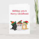 Search for cute kitten christmas cards Kittens