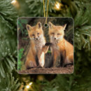 Search for baby fox christmas tree decorations Cute animals