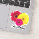Search for gerber electronics Girly
