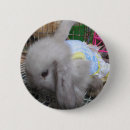 Search for rabbit lover badges Funny