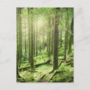 Search for killarney postcards Nature