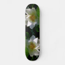 Search for petal skateboards Leaf