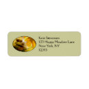 Search for zen return address labels Meditation