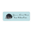 Search for rat labels Pets