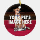 Search for dog mom christmas tree decorations For pets