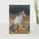 Search for falconry cards Hunting