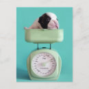 Search for weight scale postcards Cute