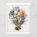 Search for vintage spring flowers postcards Purple