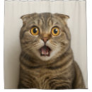 Search for lesbian shower curtains Gay
