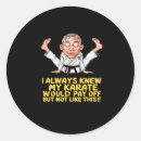 Search for funny karate stickers Fighter
