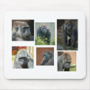Search for gorilla mousepads Silverback