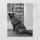 Search for dog christmas postcards Fur baby
