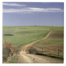 Search for rural scenes tiles Outdoors
