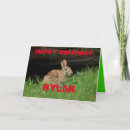 Search for closeups cards Wildlife