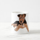 Search for welsh terrier mugs Puppy