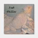 Search for chillin magnets Cool