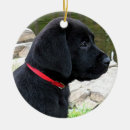 Search for black lab christmas decor Puppy