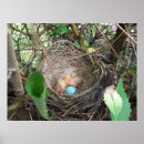 Search for hatchling posters Baby