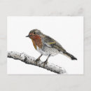 Search for original drawing postcards Animal
