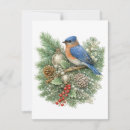 Search for bluebird cards Bird lover
