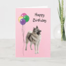 Search for norwegian birthday cards Cute dog