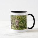 Search for sleepy mugs Nature