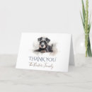 Search for miniature schnauzer dog cards Pet