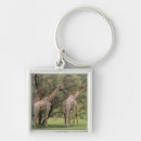 Search for natural pattern key rings Tree