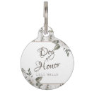 Search for wedding pet supplies Dogs