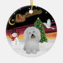 Search for coton de tulear christmas tree decorations Dogs