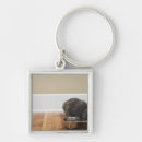 Search for activism key rings Wildlife