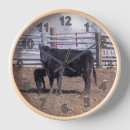 Search for paddock Ranch