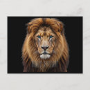 Search for wildlife postcards Lion