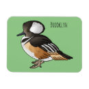 Search for hooded magnets Bird