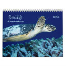Search for sea turtle calendars Coral