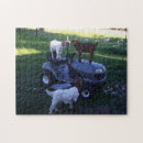 Search for farm equipment puzzles Rural
