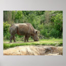 Search for rhino poster posters Animals