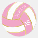 Search for volleyball stickers Coach