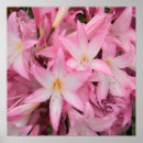 Search for ant posters Yellow