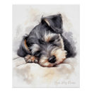 Search for schnauzer puppy posters Cute