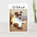 Search for jack russell terrier cards Animal