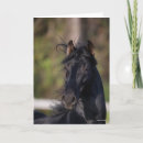 Search for stallion cards Black
