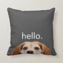 Search for beagle cushions Animal lover