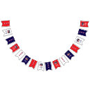 Search for red white blue bunting flags 4th of july