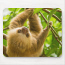 Search for getty mousepads Animals