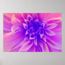 Search for macros posters Flower